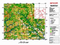 Estudio Bitemporal de Vegetación